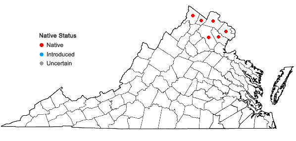 Locations ofPenstemon hirsutus (L.) Willd. in Virginia