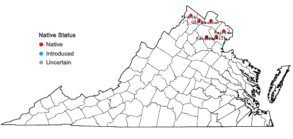 Locations ofPenstemon hirsutus (L.) Willd. in Virginia