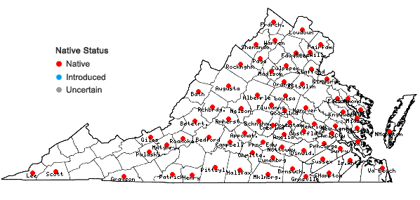 Locations ofPenstemon laevigatus Aiton in Virginia