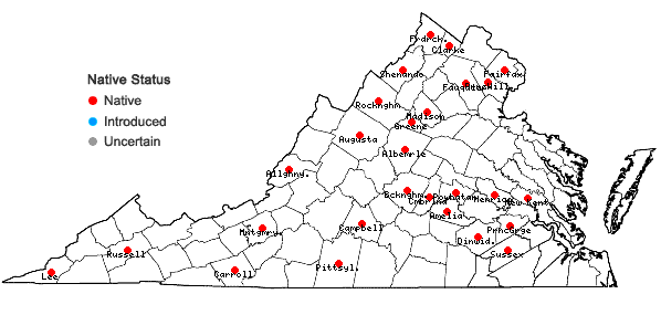 Locations ofPenstemon pallidus Small in Virginia