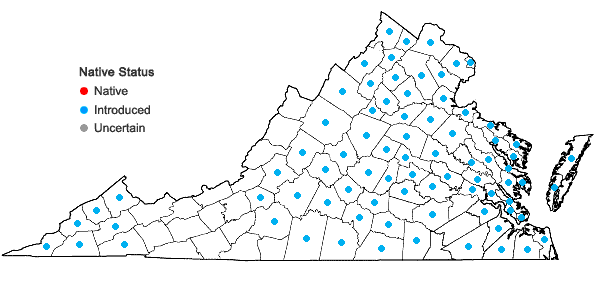 Locations ofPerilla frutescens (L.) Britt. in Virginia