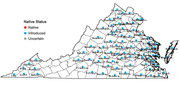 Locations ofPerilla frutescens (L.) Britt. in Virginia