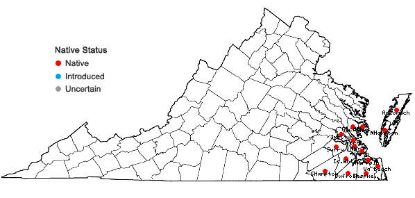 Locations ofPersea palustris (Raf.) Sarg. in Virginia