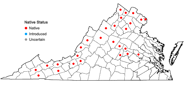 Locations ofPersicaria amphibia (L.) Gray in Virginia