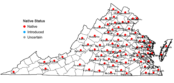 Locations ofPersicaria arifolia (L.) Haraldson in Virginia