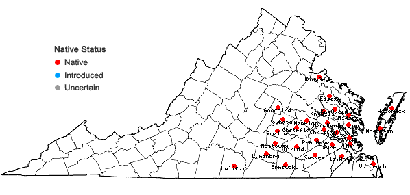 Locations ofPersicaria densiflora (Meisner) Moldenke in Virginia