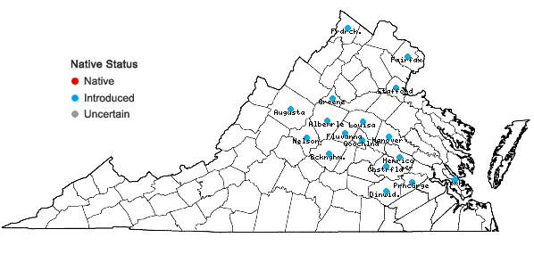 Locations ofPersicaria extremiorientalis (Vorosch.) Tzvelev. in Virginia