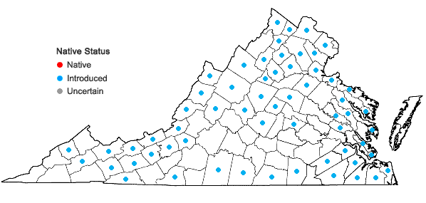 Locations ofPersicaria hydropiper (L.) Spach in Virginia