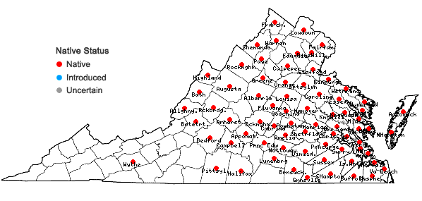 Locations ofPersicaria hydropiperoides (Michx.) Small in Virginia