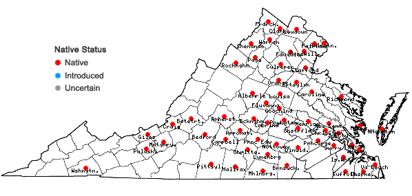 Locations ofPersicaria lapathifolia (L.) Gray in Virginia