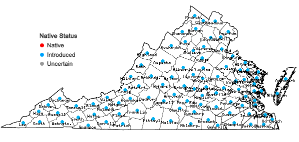 Locations ofPersicaria maculosa Gray in Virginia