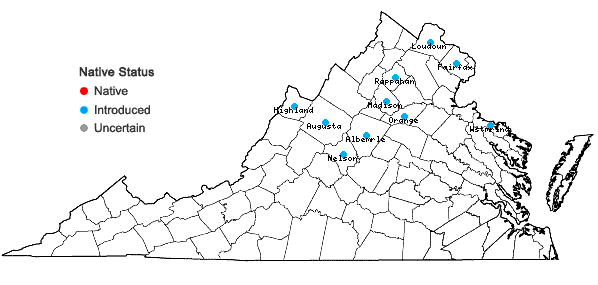 Locations ofPersicaria posumbu (Buch.-Ham. ex D. Don) H. Gross in Virginia