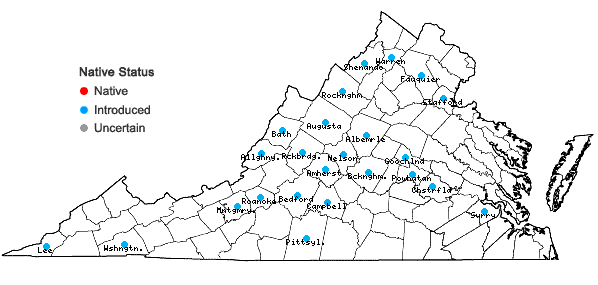 Locations ofPetrorhagia prolifera (L.) P.W. Ball & Heywood in Virginia