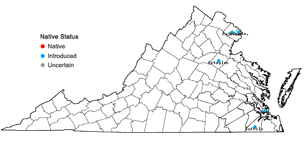 Locations ofPetunia ×atkinsiana Loudon in Virginia