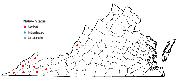 Locations ofPhacelia bipinnatifida Michx. in Virginia