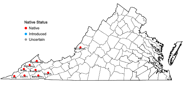Locations ofPhacelia bipinnatifida Michx. in Virginia