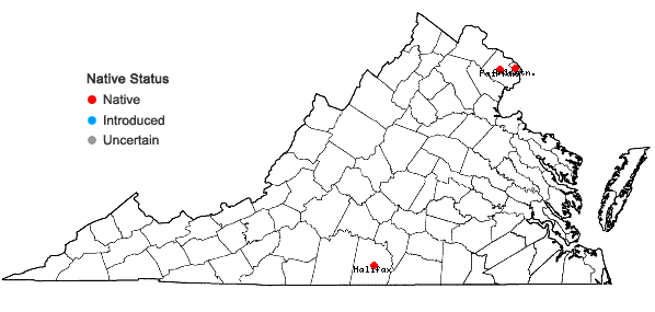 Locations ofPhacelia covillei S. Wats. ex A. Gray in Virginia
