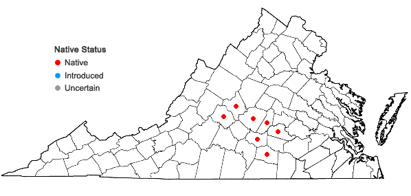 Locations ofPhaeoceros carolinianus (Michx.) Prosk. in Virginia