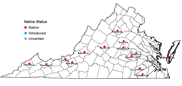 Locations ofPhaeoceros laevis (L.) Prosk. in Virginia