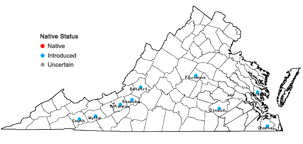 Locations ofPhalaris canariensis L. in Virginia
