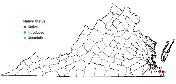 Locations ofPhalaris caroliniana Walt. in Virginia