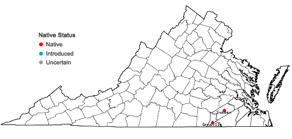 Locations ofPhanopyrum gymnocarpon (Ell.) Nash in Virginia
