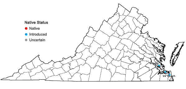 Locations ofPhelipanche ramosa L. in Virginia