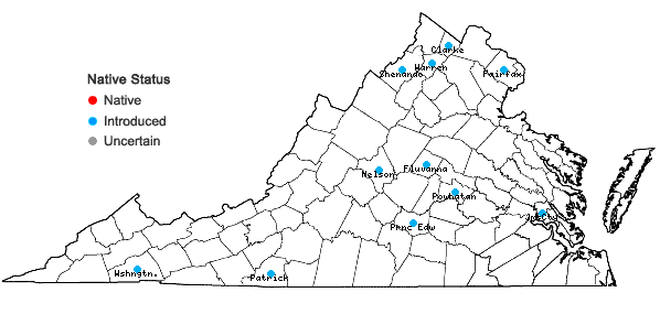 Locations ofPhiladelphus coronarius L. in Virginia