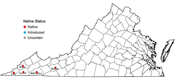 Locations ofPhiladelphus hirsutus Nutt. in Virginia