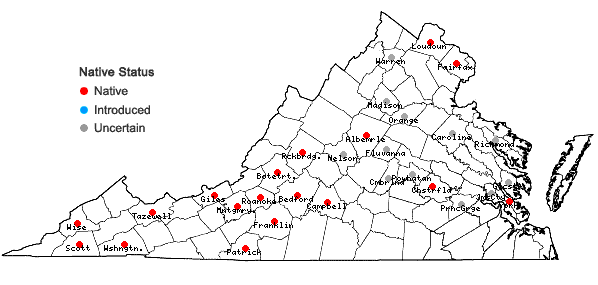 Locations ofPhiladelphus inodorus L. in Virginia