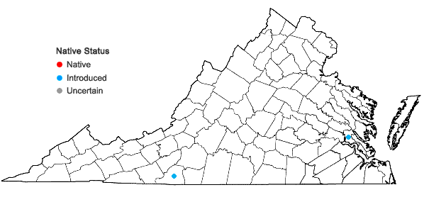 Locations ofPhiladelphus pubescens Loisel. in Virginia