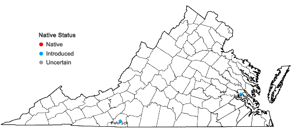 Locations ofPhiladelphus pubescens Loisel. in Virginia