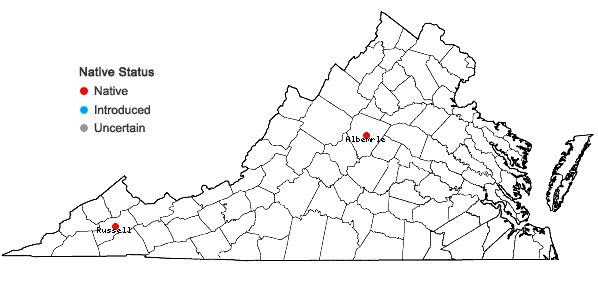 Locations ofPhilonotis gracillima Ångström in Virginia