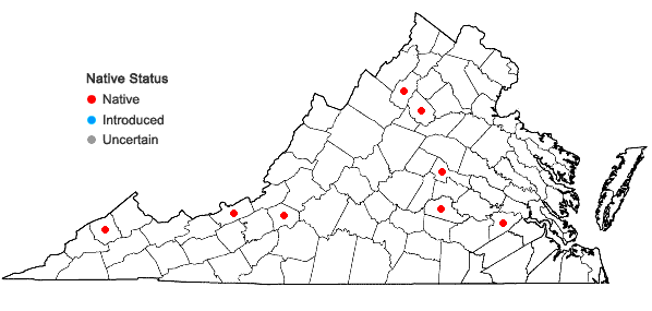 Locations ofPhilonotis longiseta (Michx.) E. Britton in Virginia