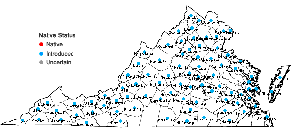 Locations ofPhleum pratense L. in Virginia