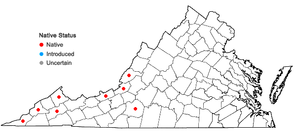 Locations ofPhlox amplifolia Britt. in Virginia