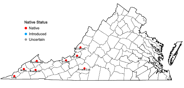 Locations ofPhlox amplifolia Britt. in Virginia