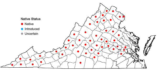 Locations ofPhlox divaricata L. in Virginia