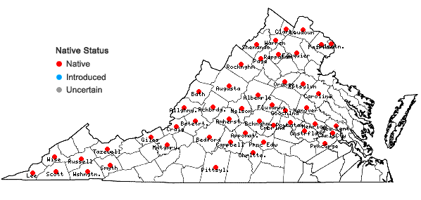 Locations ofPhlox divaricata L. in Virginia