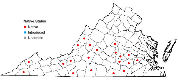 Locations ofPhlox glaberrima L. in Virginia
