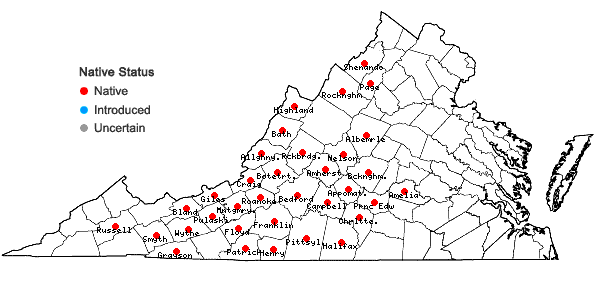Locations ofPhlox ovata L. in Virginia