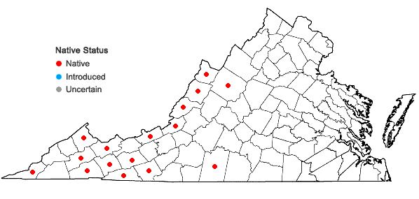 Locations ofPhlox stolonifera Sims in Virginia
