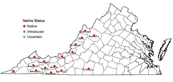 Locations ofPhlox stolonifera Sims in Virginia