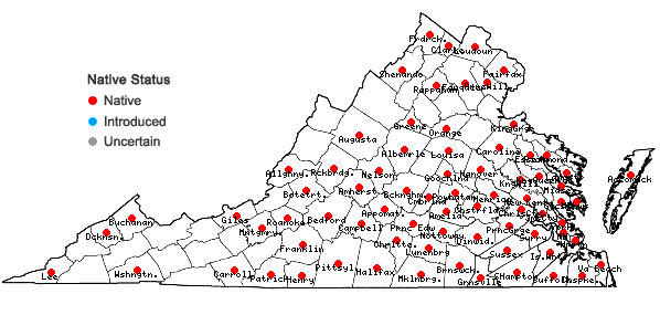 Locations ofPhoradendron leucarpum (Raf.) Reveal & M.C. Johnston ssp. leucarpum in Virginia