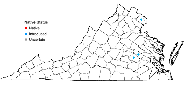Locations ofPhotinia serratifolia (Desf.) Kalkm. in Virginia