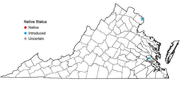 Locations ofPhotinia villosa (Thunb.) DC. in Virginia