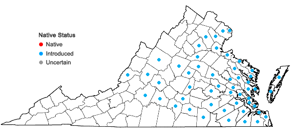 Locations ofPhragmites australis (Cav.) Trin. ex Steud. in Virginia