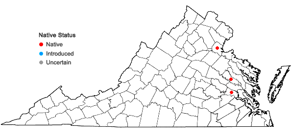 Locations ofPhragmites australis (Cav.) Trin. ex Steud. ssp. americanus Saltonstall, P.M. Peterson & Soreng in Virginia