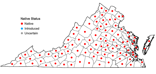 Locations ofPhryma leptostachya L. in Virginia