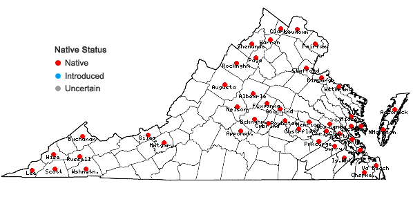 Locations ofPhyla lanceolata (Michx.) Greene in Virginia